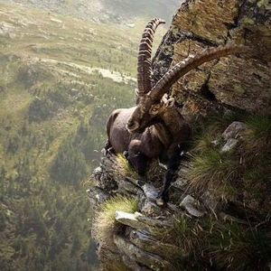 Meet your Posher, Tyrone